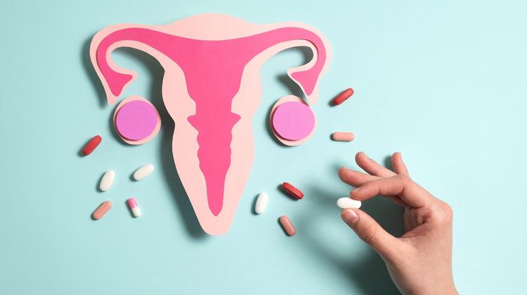 Indicações da TRH, contraindicações e prescrição nas pacientes com comorbidades