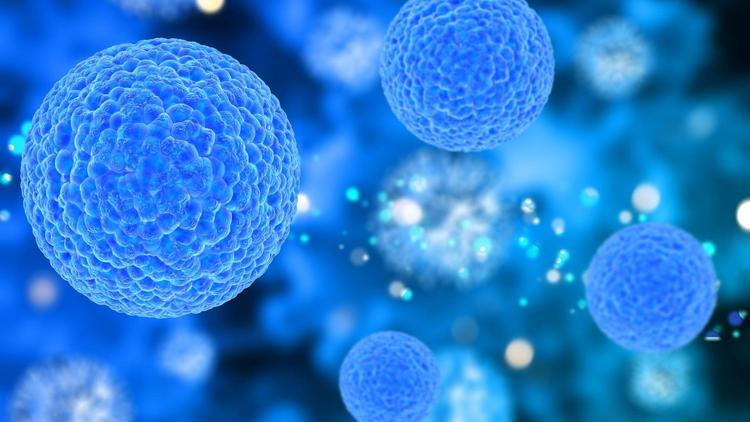 Terapias com células CAR-T podem originar neoplasias linfoides secundárias