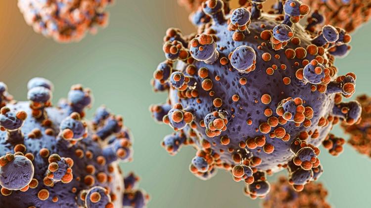 Mpox pode voltar a ser Emergência de Saúde Pública