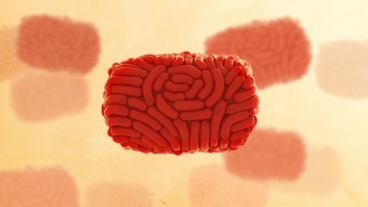 Casos de mpox sobem para 140 no Brasil em 2026 com mais 500 sob investigação