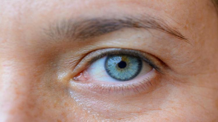 Eficácia e segurança de aminoácidos de cadeia ramificada na retinose pigmentar