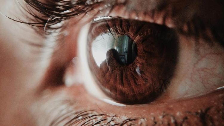 Ceratopatia de exposição: prevalência e fatores de risco entre pacientes críticos