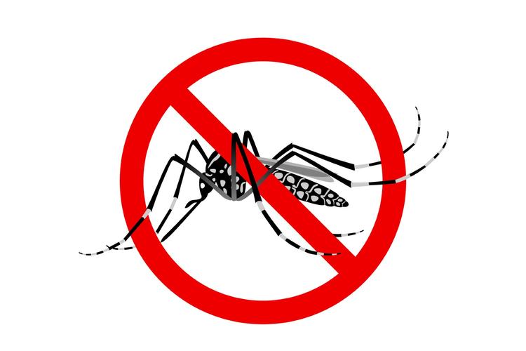 Você sabe quais as manifestações cardiovasculares da Dengue?