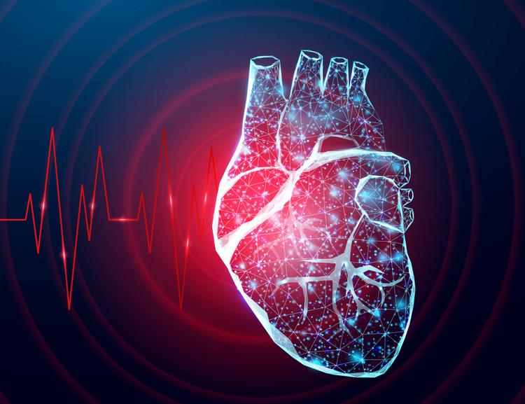 Isolamento da Parede Posterior do Átrio Esquerdo Em Pacientes com Fibrilação Atrial