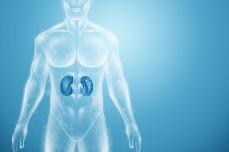 BNP pode ser maior em pacientes com DRC?