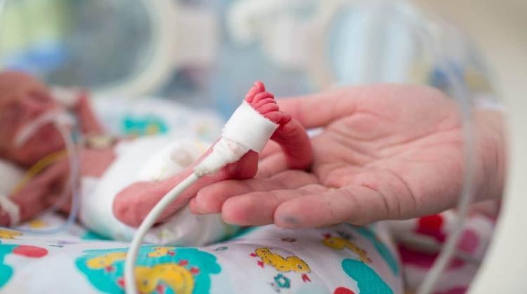 Controles de Prematuridade