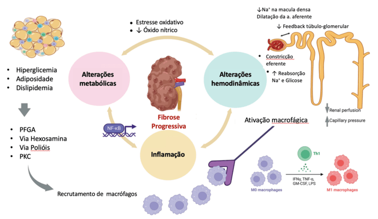 Os pilares da doença renal diabética