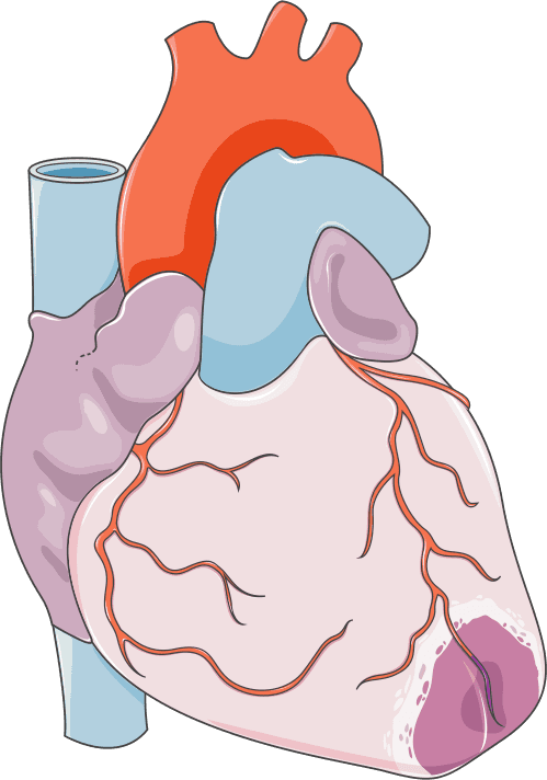 Conhece a classificação de Forrester em IAM com supra de ST?