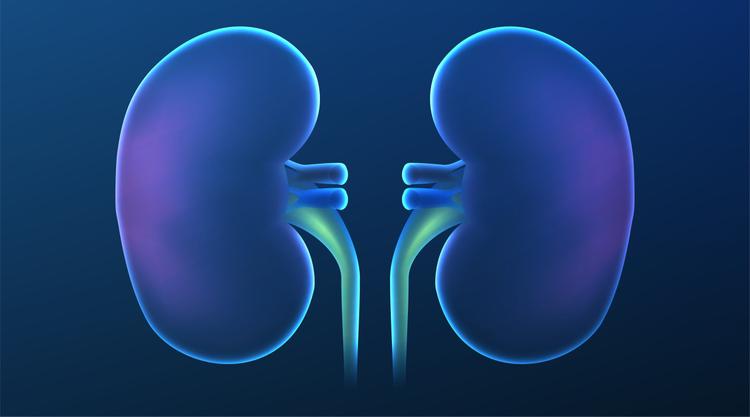 Estudo FLOW: semaglutida reduz desfechos renais em pacientes com DM2 e DRC