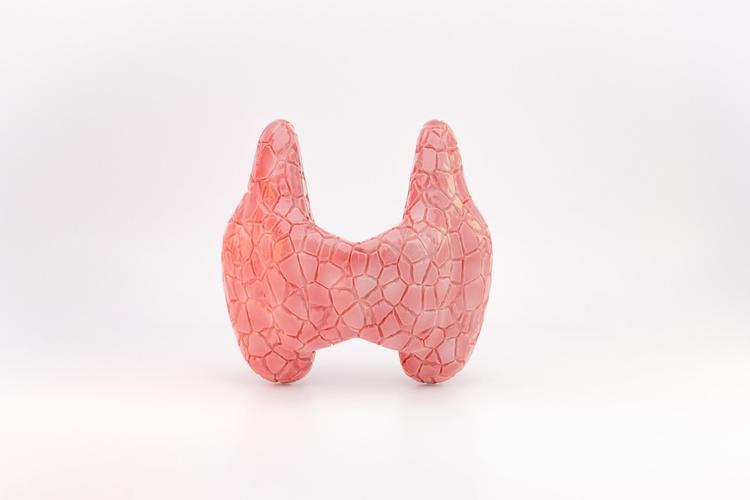 Por quanto tempo manter a droga anti-tireoidiana na Doença de Graves?