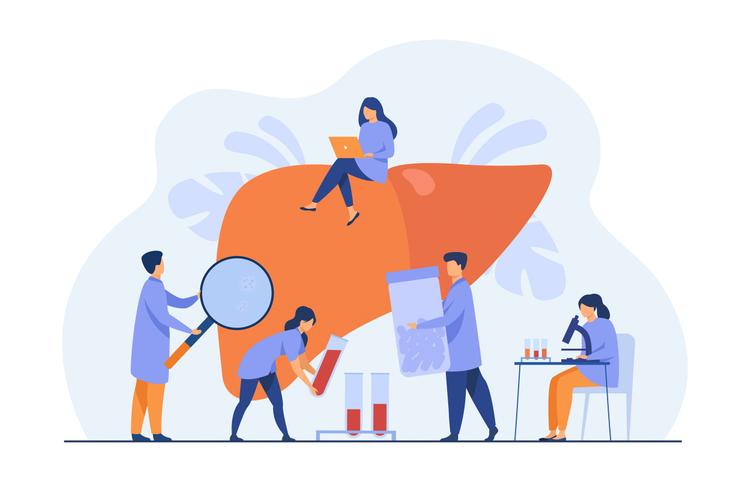 Doença hepática gordurosa não alcoólica: um breve resumo