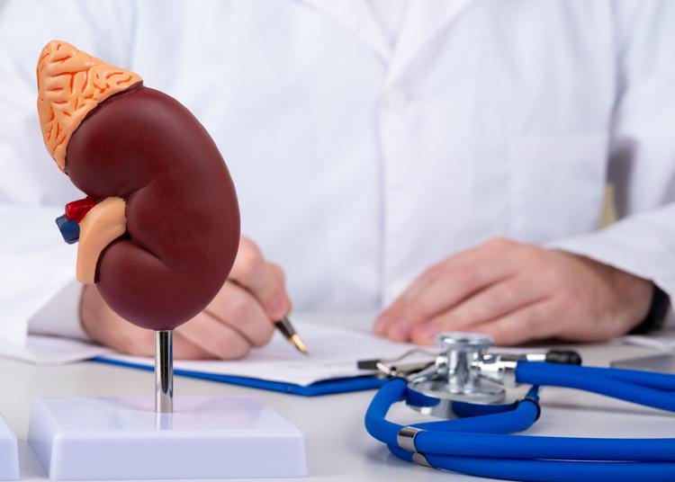 Avaliação dos Incidentalomas Adrenais