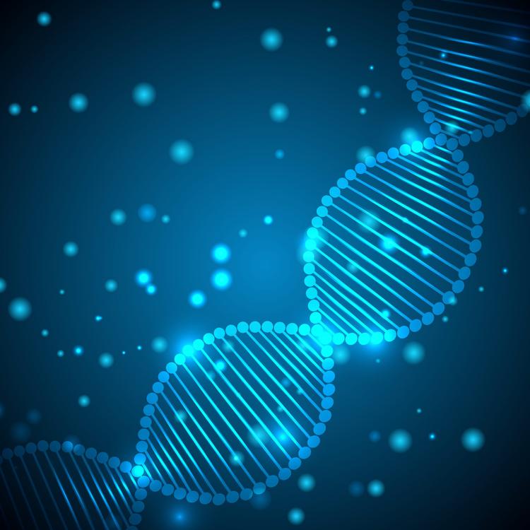 Os escores de risco poligênico ajudam na determinação do risco cardiovascular?