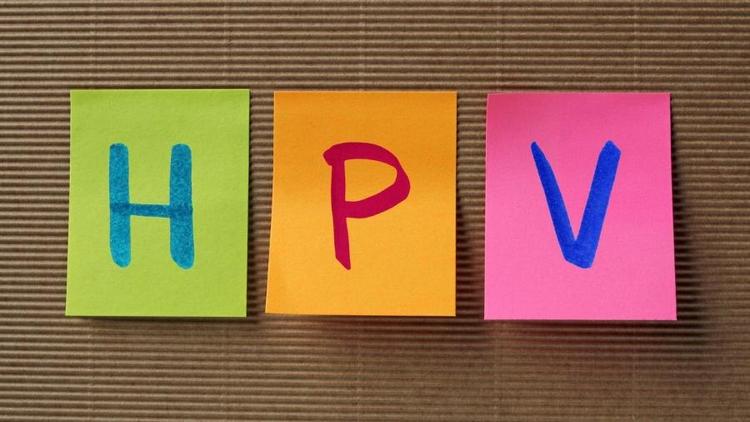Qual a relação entre HPV e doença cardiovascular?