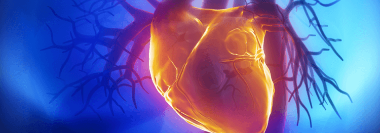 Profilaxia de endocardite infecciosa: o que diz a última diretriz europeia?