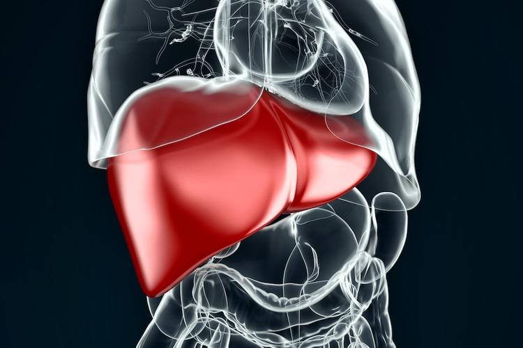 Qual é a prevalência de esteato-hepatite e fibrose em pacientes com DM2?