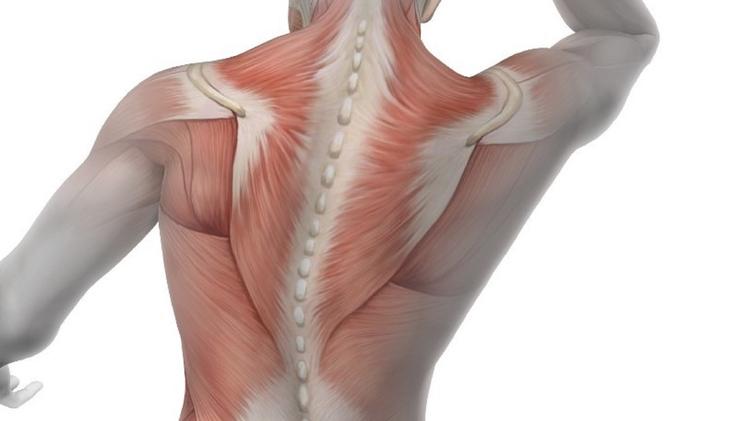 Atualização de boas práticas em atrofia muscular espinhal