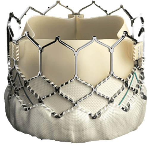 Qual antiplaquetário ou anticoagulante usar após TAVI?