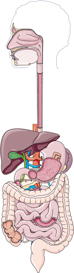 Você sabe que medicações cardiovasculares podem causar pancreatite?