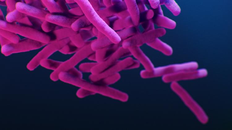 Levofloxacina para prevenção de tuberculose droga-resistente