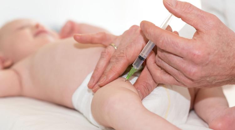 Vacinação na infância: uma perspectiva bioética acerca de sua regulamentação