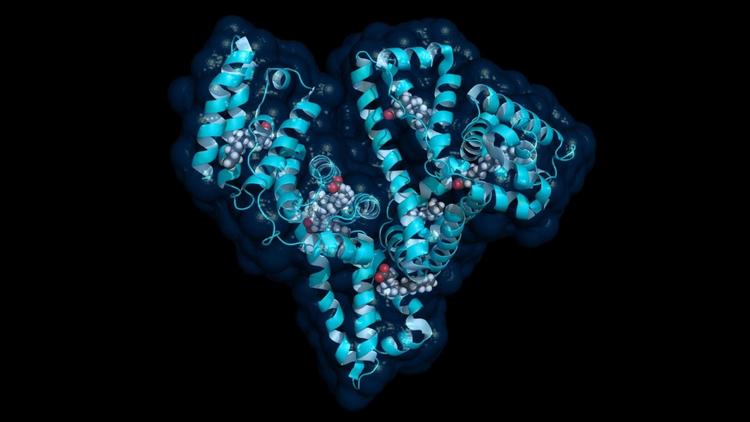 Uso de albumina em adultos com sepse - rodamos e voltamos ao mesmo lugar