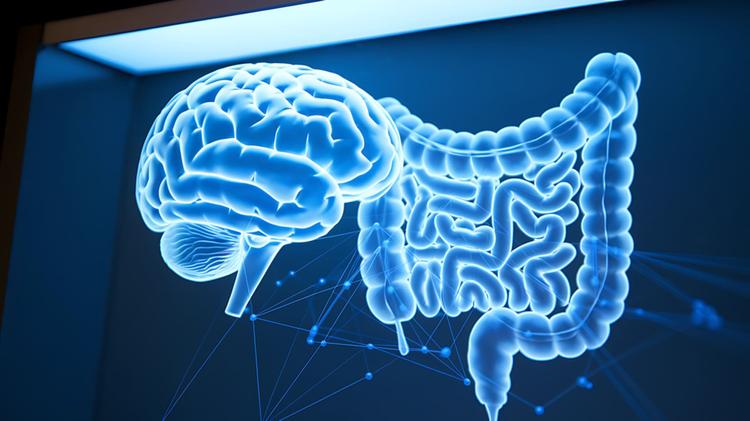 eixo cérebro intestino(1)