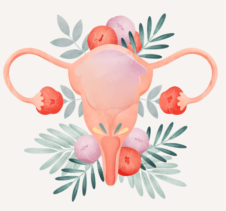 Novo guideline de insuficiência ovariana prematura: novidades no diagnóstico