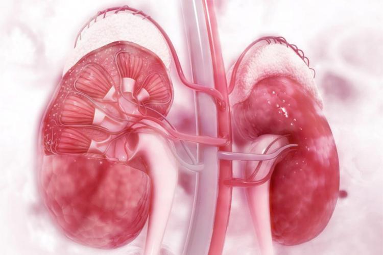 Posso usar metformina em pacientes com doença renal crônica?