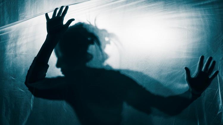 BRAIN 2025: A mente que cria o mundo: neurociência, psicose e a realidade na esquizofrenia