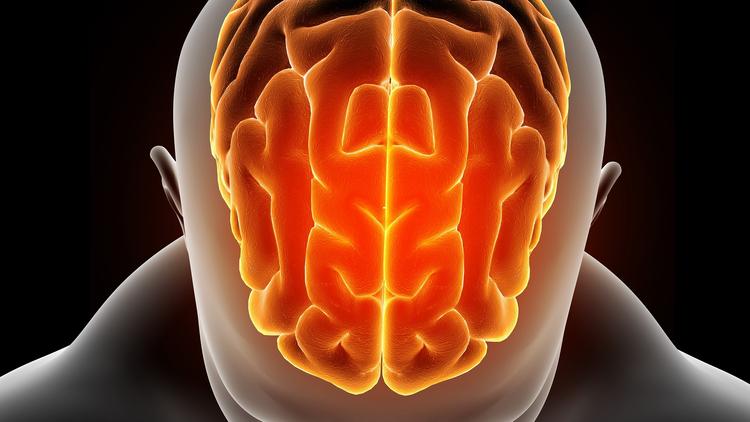 Meningite criptocócica: O que precisamos saber?