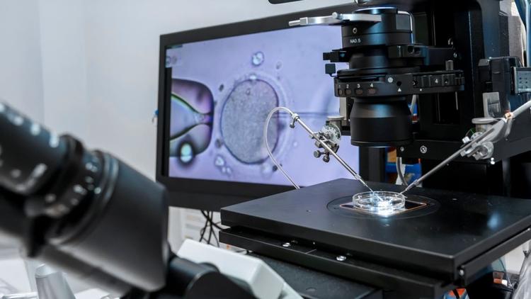 Impacto da hepatite B nos resultados da reprodução assistida