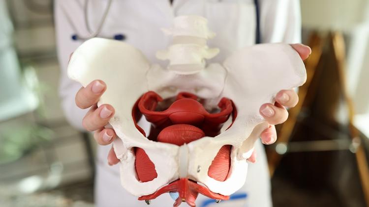 diástase da sínfise púbica