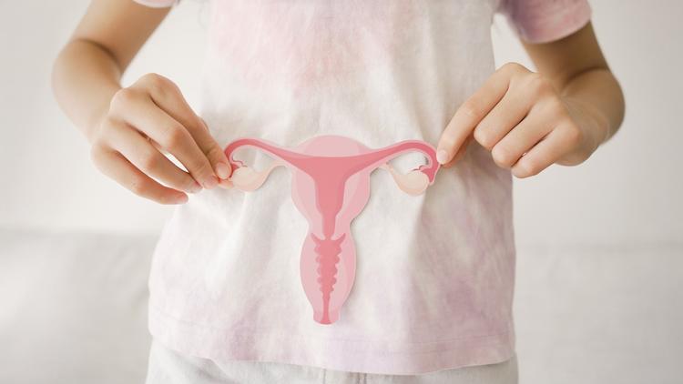 Atualização sobre carcinoma endometrial da ESGO