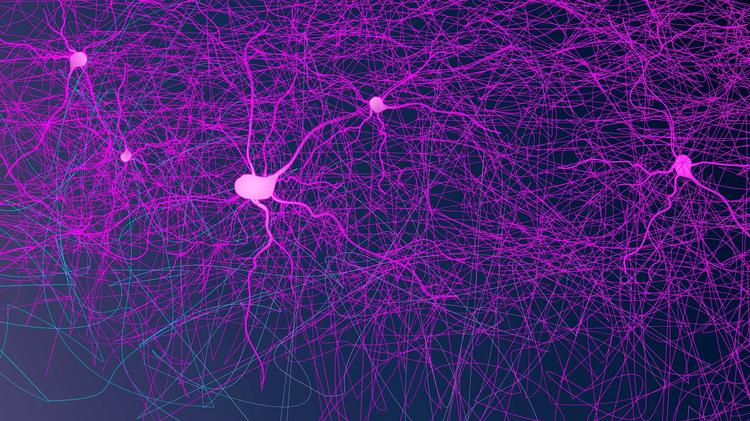 Síndrome miastênica de Lambert-Eaton (LEMS): O que precisamos saber?