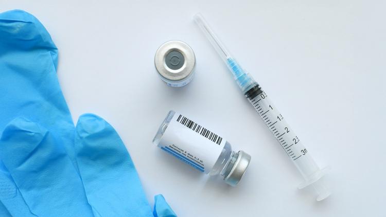 Aprovação pela Anvisa: Vacina da dengue do Butantan