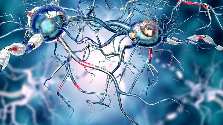 Pregabalina e gabapentina na dor neuropática: evidências na prática clínica