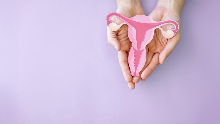 O ano de 2025 – O que foi destaque na Ginecologia