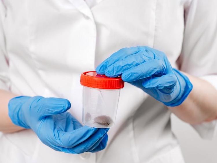 Escala de Bristol: o que é e como interpretar as fezes