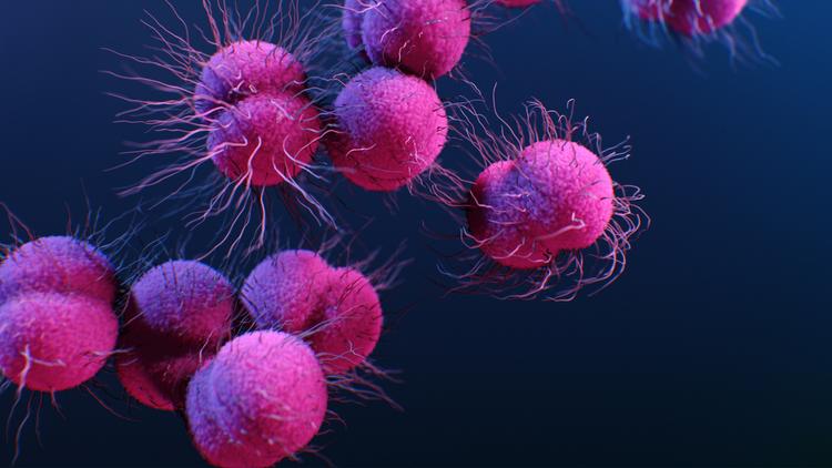 FDA aprova duas novas terapias orais para o tratamento da gonorreia