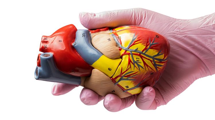 Revascularização completa x apenas do vaso culpado pós IAM em idosos com DRC