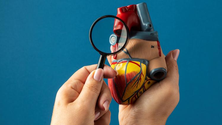 Denervação renal na hipertensão resistente