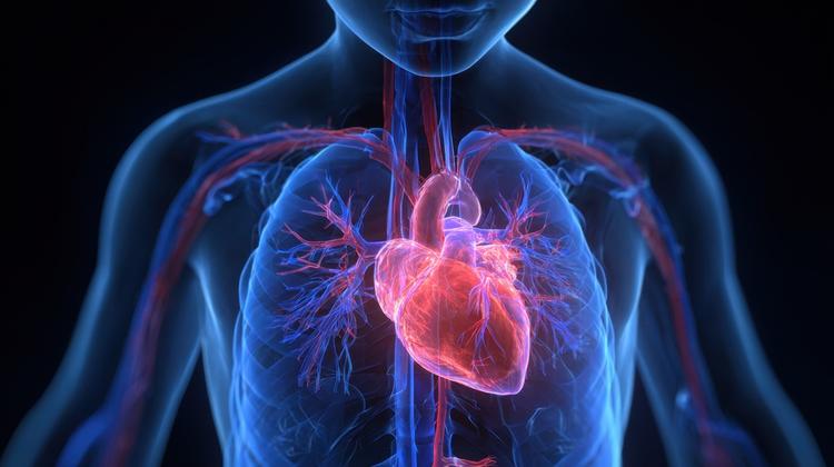 TAVI vs. cirurgia em estenose aórtica: análise de 7 anos do PARTNER 3