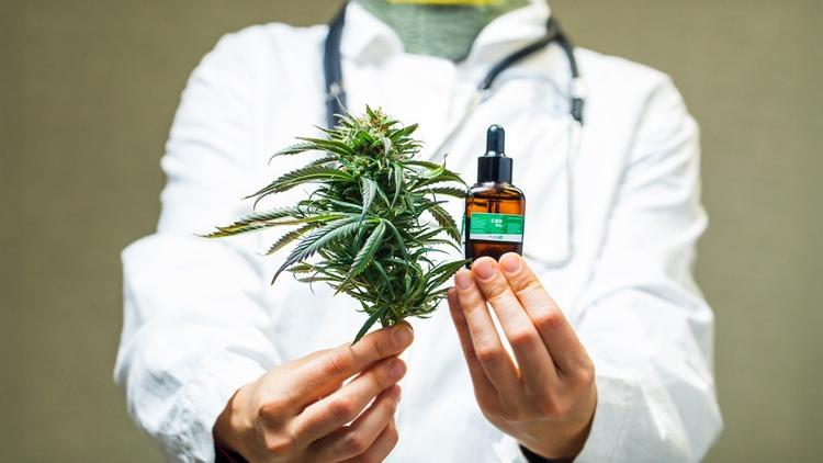 Prescrição de canabidiol por via digital: entenda as regras