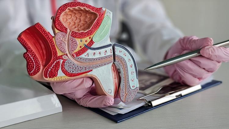 Manejo de fraturas penianas no serviço de emergência: o que fazer?