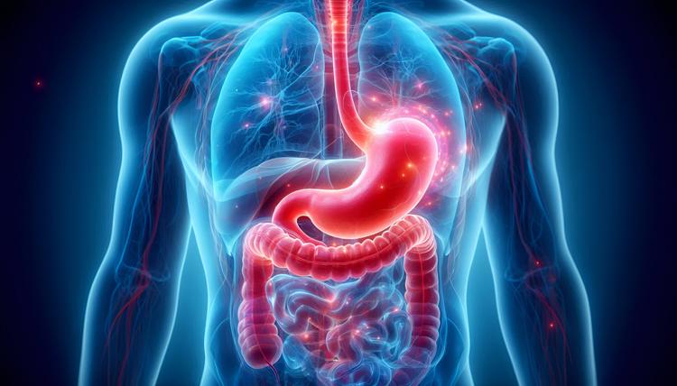 Tecnologia brasileira promete aprimorar avaliação da motilidade gastrointestinal