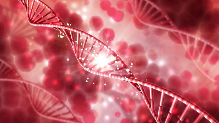 FDA estrutura guia para tecnologias de edição genética