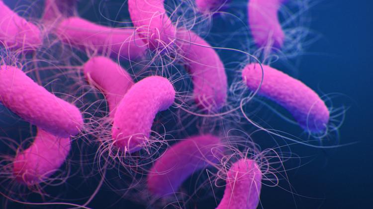 Tratamento de Pseudomonas: Nova análise avalia impacto da terapia curta