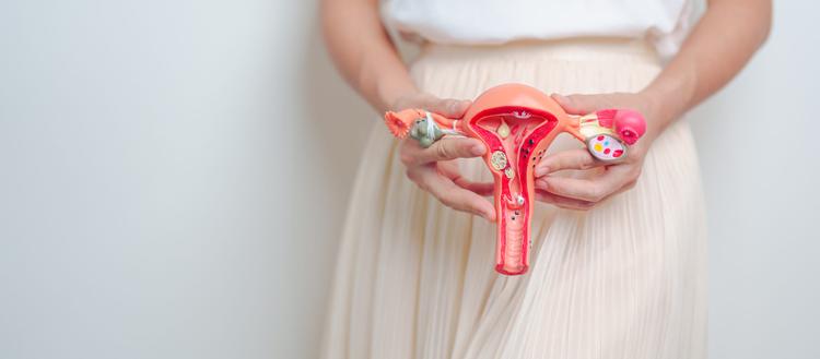 Síndrome ovariana metabólica poliendocrina (SOMP) – a nova nomenclatura da SOP