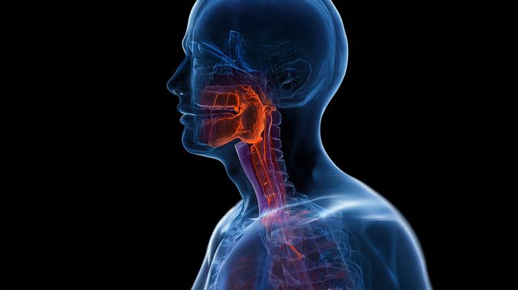 quimioterapia câncer de cabeça e pescoço